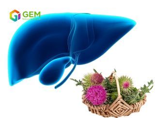 Profile of Milk Thistle Extract