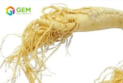 Chinese Magic Herb-Ginseng!