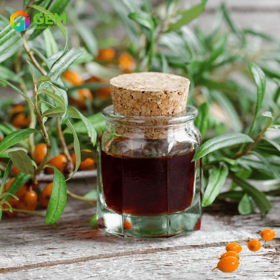Sea Buckthorn Fruit Oil