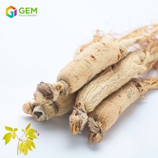 Ginseng Extract