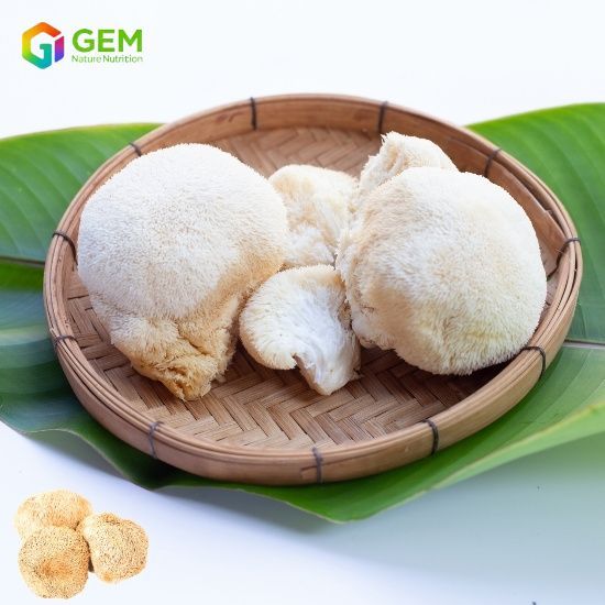 Lion's Mane Mushroom Extract