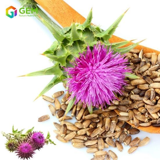 Milk Thistle Extract