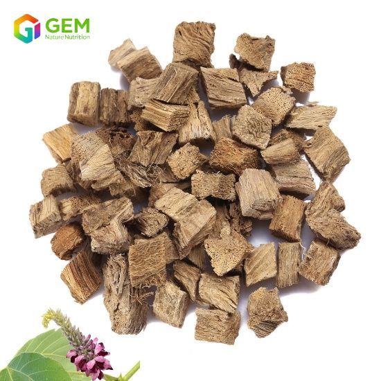 Pueraria Root Extract