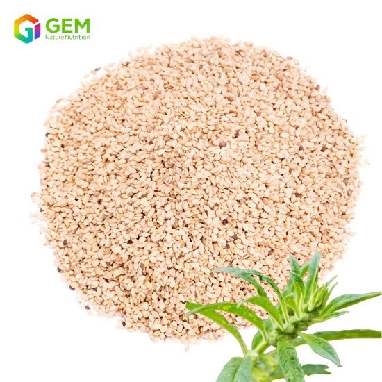 Sesame Seed Extract