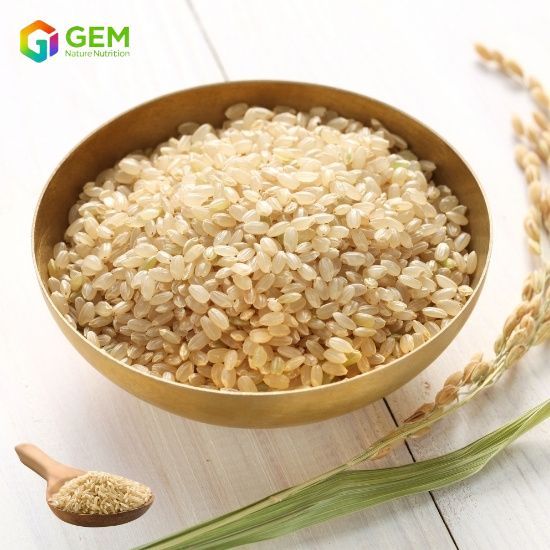 Brown Rice Protein