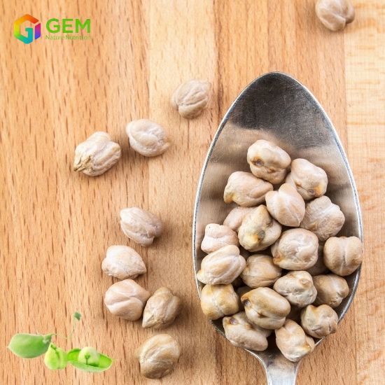 Chickpea protein
