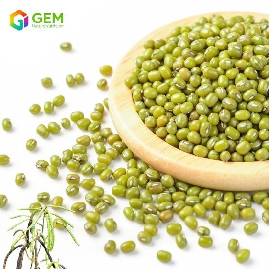 Mung bean protein