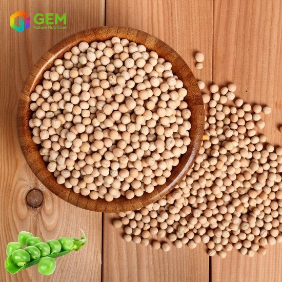 Pea protein powder