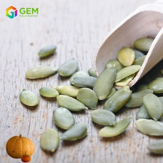 Pumpkin seed protein