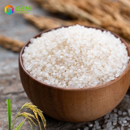 Rice protein powder