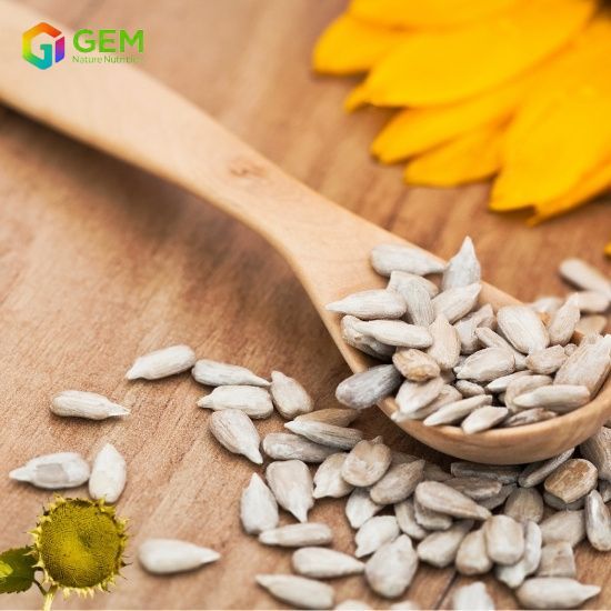 Sunflower Seed Protein